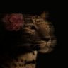 Devika's profile picture