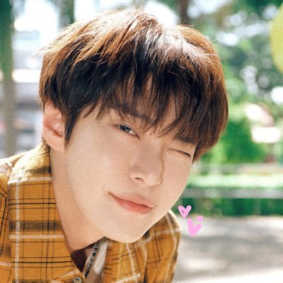 mr.kimrbj 🐈 𓈒's profile picture