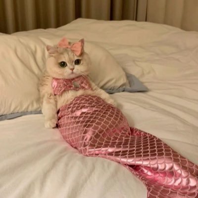 wara 🧜🏻‍♀️'s profile picture