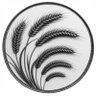 Profilbild von vm8833