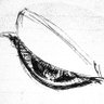Profilbild von Eoa