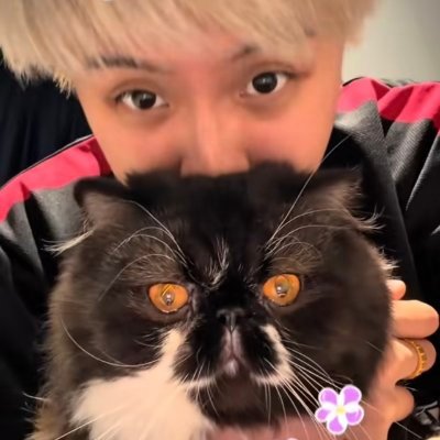 nals0ul_'s profile picture