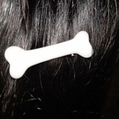 useddumbmutt's profile picture