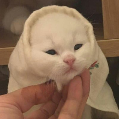 อั้ยส์🐶's profile picture