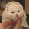 อั้ยส์🐶's profile picture