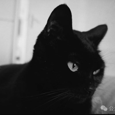 D97Cruel's profile picture