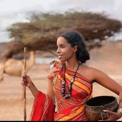Queen landers 🇮🇱🐪's profile picture