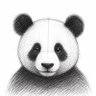 KELVINISM⛩️🐼's profile picture