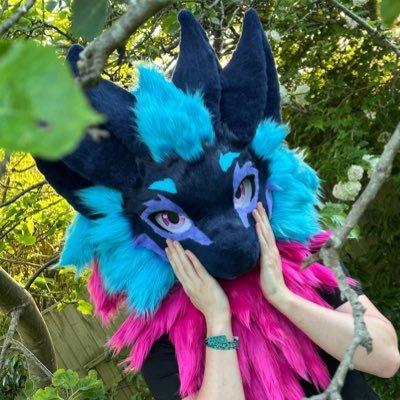 Nightphin's profile picture