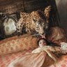 Leopardess 的头像
