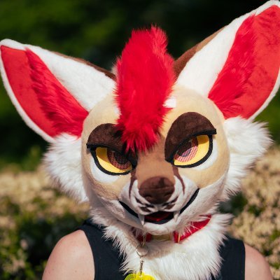 Cerri's profile picture