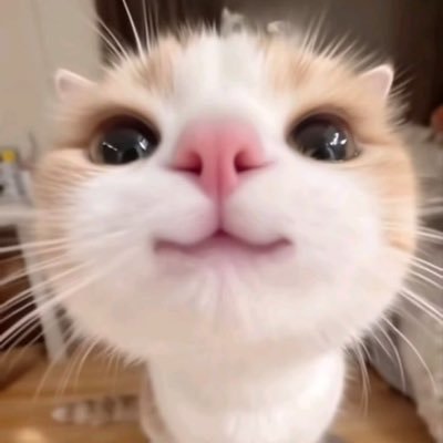 Kc's profile picture