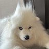 𝗝𝗮𝗻𝗻𝗶's profile picture