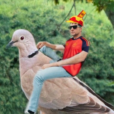 sol.'s profile picture