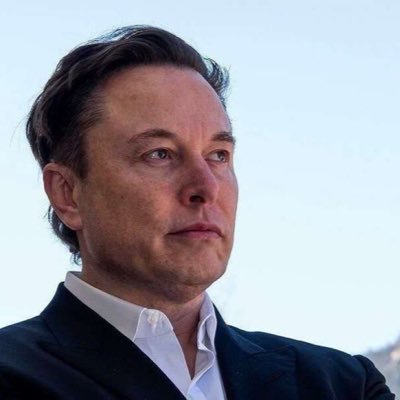 Elon's profile picture