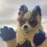 Фото профиля 🌵Delta the Arcanine🌵 🔜 ASC, FC