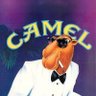 Profilbild von bigcamelsmoker58