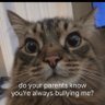 Shıfty's profile picture