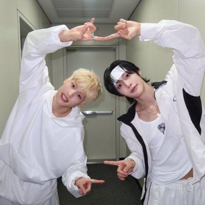 또리비니 아카이브's profile picture