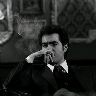 اُوربـت | Orbit's profile picture