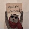 ماريا's profile picture