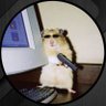 PΣƬΣЯ ⚡'s profile picture