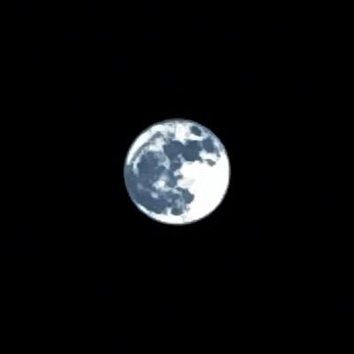 🌙's profile picture
