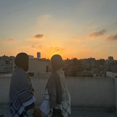 Shahed 🇵🇸's profile picture