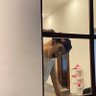 samuel profil fotoğrafı