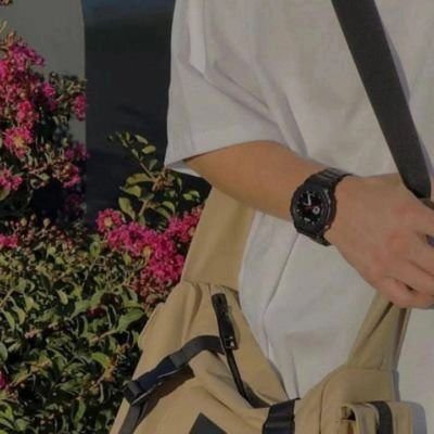 salafDz16's profile picture