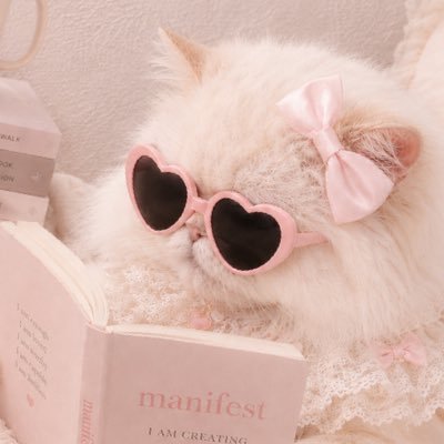 ไปเรื่อย's profile picture