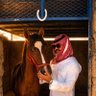 Фото профиля إبراهيم العقلا.