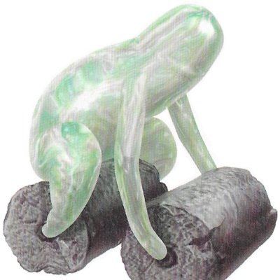 Sackrod's profile picture
