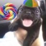 Profilbild von Jeff