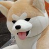 TAKA-BOY's profile picture