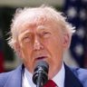 Dozy Donnie is back🇺🇦🇪🇺🇬🇧's profile picture
