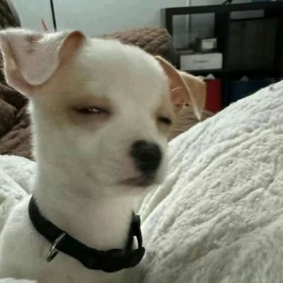 WondaMike29's profile picture