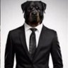 Profilbild von garry