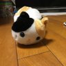 Profilbild von みふぇーる