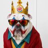 Frank Ultra profil fotoğrafı