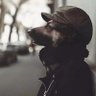 Msimelelo's profile picture