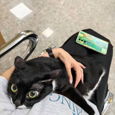 kathijanwzrko's profile picture