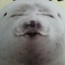 ヤカン 的头像