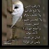 العنزي's profile picture
