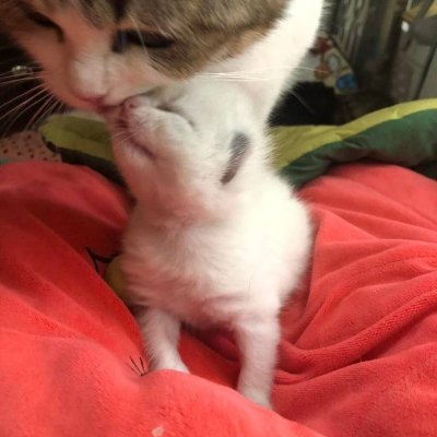 effyybyqgbjzt's profile picture