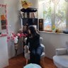 Derya profil fotoğrafı
