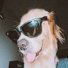 Profilbild von Isa
