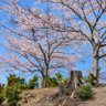 Фото профиля 無明やこう