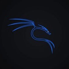 rmady24's profile picture