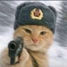 Фото профиля fdreferfeeqww